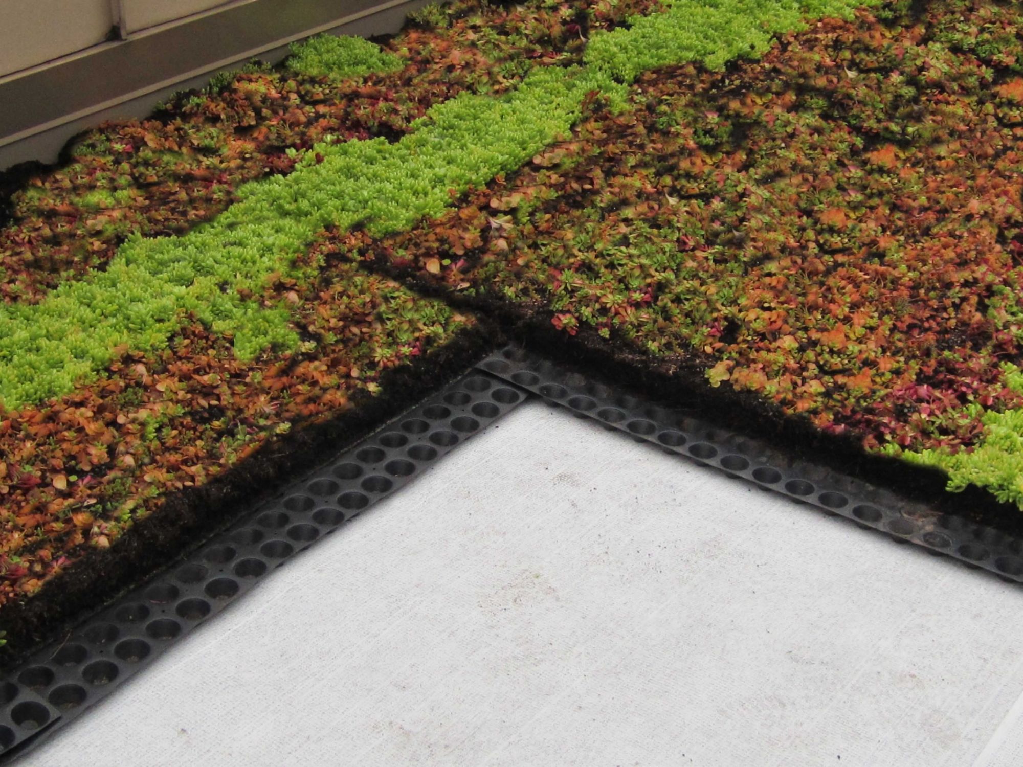 Roof Waterproofing Green Roof Installation Scaled